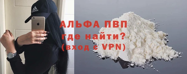 PSILOCYBIN Богданович