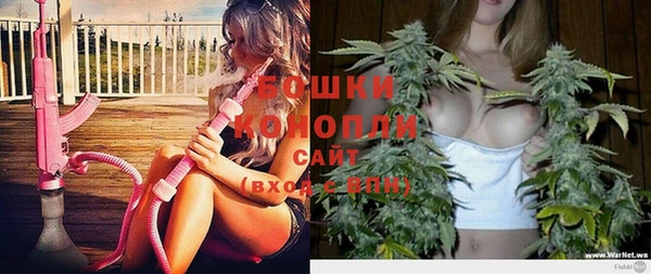 PSILOCYBIN Богданович