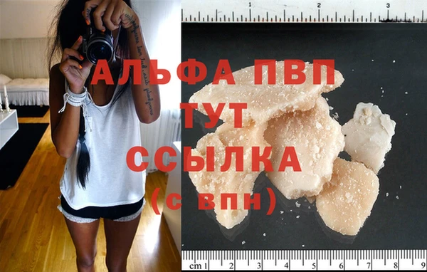 крисы Гатчина