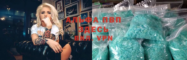 PSILOCYBIN Богданович