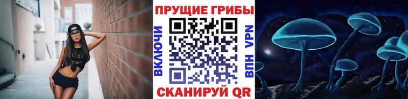 Галлюциногенные грибы ЛСД  Мегион 